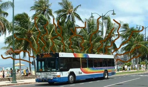 hawaii-bus