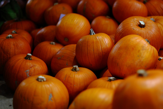 Pumpkins by Mark Rowland, CC BY-ND 2.0