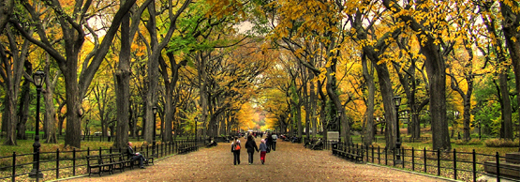 Autumn in Central Park, NYC