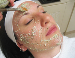 Shizuka New York's Day Spa DIY Facials - Matcha Green Tea Facial Mask