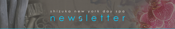 Shizuka New York Day Spa Newsletter