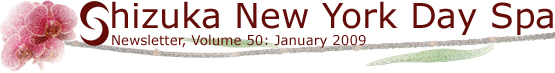 Shizuka NY Day Spa Newsletter Vol 50: January 2009