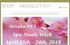 SHIZUKA new york Day Spa