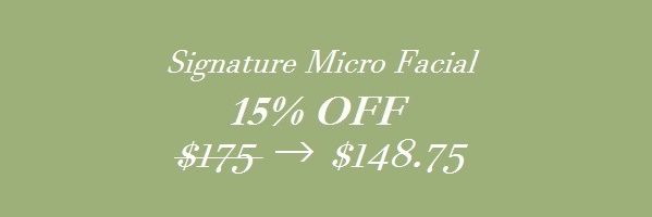 Signature Micro Facial 15% OFF SHIZUKA new york L