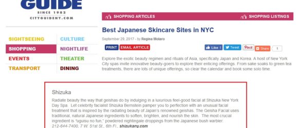 SHIZUKA new york Best Japanese Skincare Sites in NYC L
